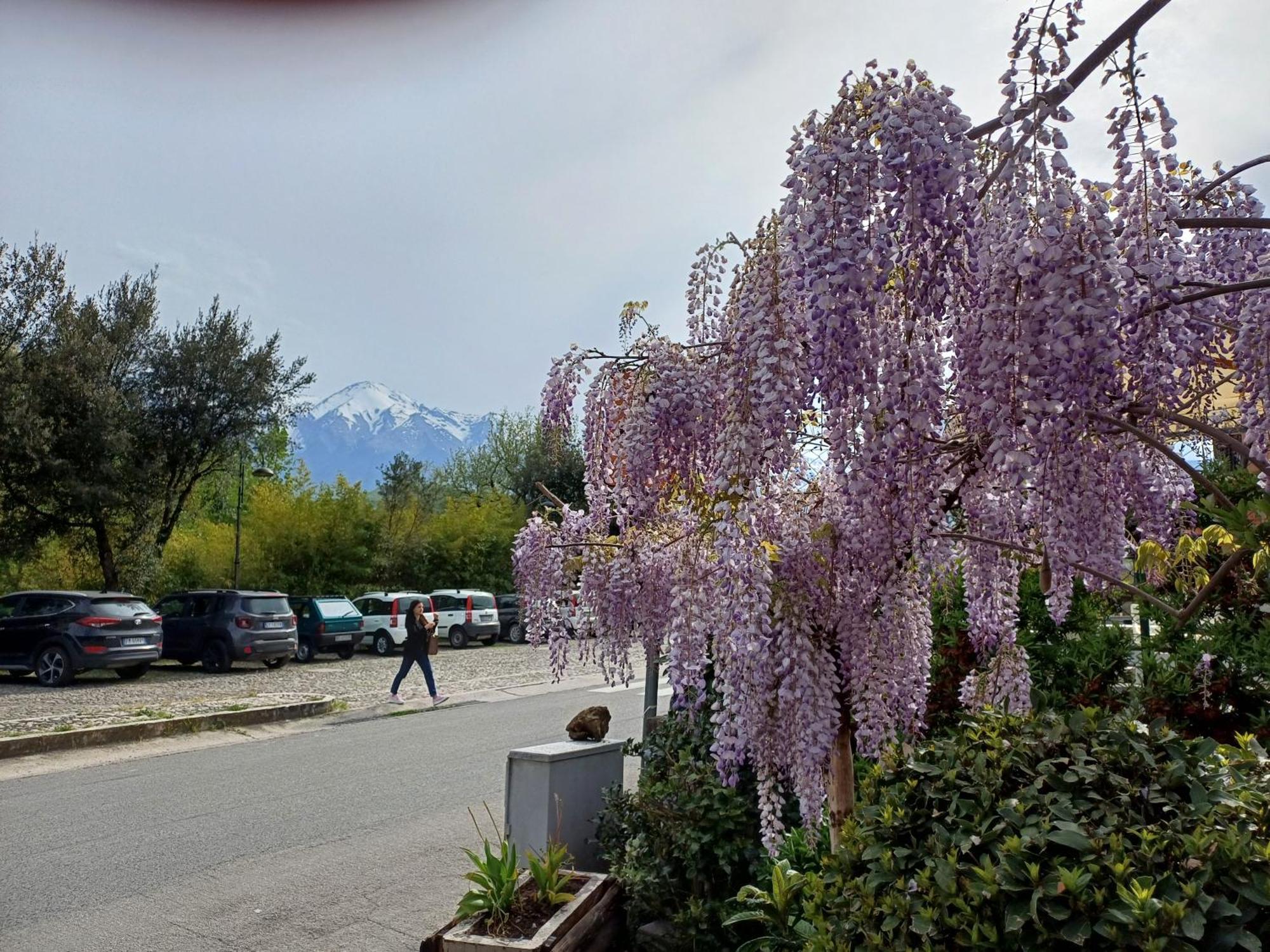 Agriturismo San Giovanni Ad Insulam Isola del Gran Sasso dʼItalia Kültér fotó