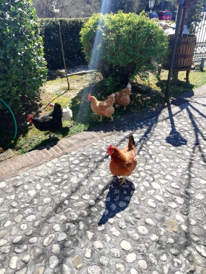 Agriturismo San Giovanni Ad Insulam Isola del Gran Sasso dʼItalia Kültér fotó